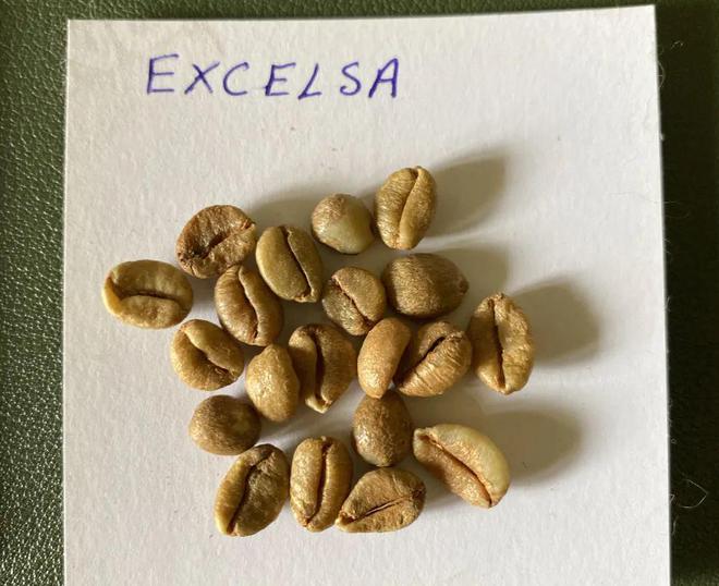 这个人发现硬币两面朝上的概率竟然不一样？不朽情缘电子游戏网址4年抛35万次硬币！(图5)