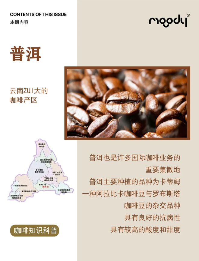：彩云之南的馥郁传奇不朽情缘游戏云南咖啡(图7)