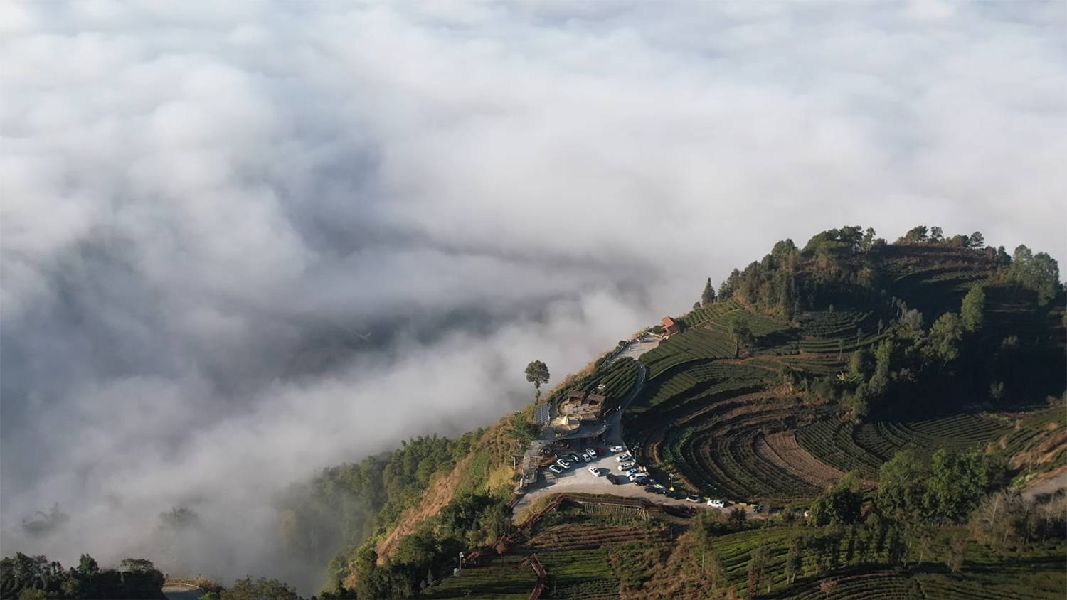 崖边”卖咖啡让家乡成为无数人打卡的诗和远方不朽情缘游戏平台他们的新起点｜鲁贞情：在“(图4)